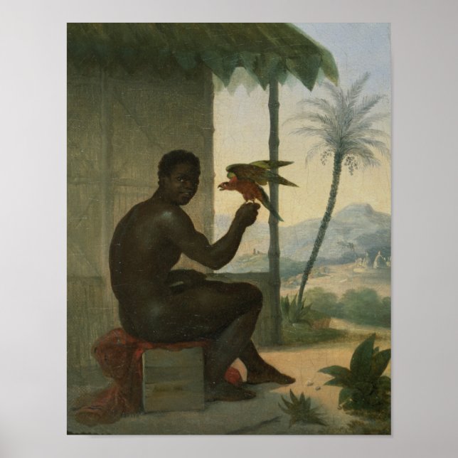 Brazilian negro with Tropical Bird Poster (Front)