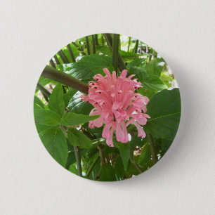 Brazilian plume flower 6 cm round badge