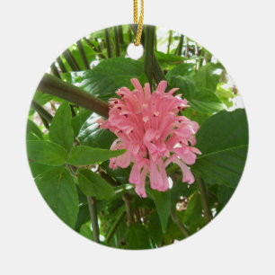 Brazilian plume flower ceramic tree decoration