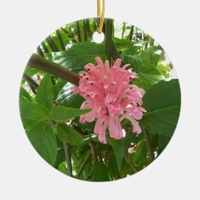 Brazilian plume flower ceramic tree decoration (Front)