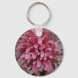 Brazilian plume flower keychain
