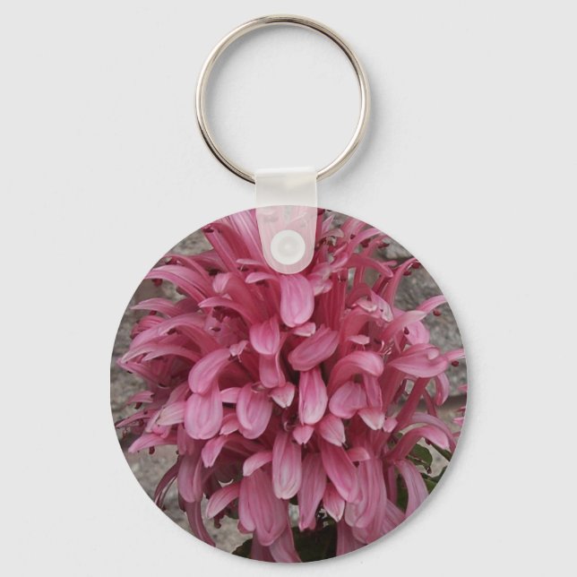 Brazilian plume flower keychain (Front)