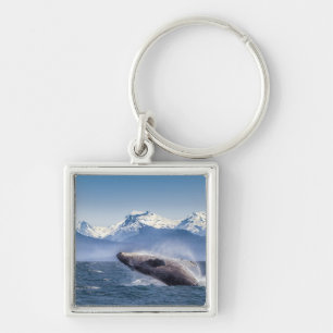 Breaching Humpback Whale In Alaska Key Ring