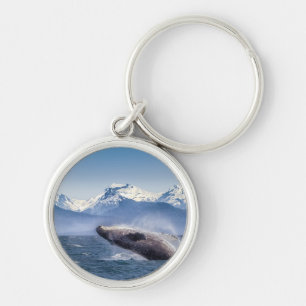 Breaching Humpback Whale In Alaska Key Ring