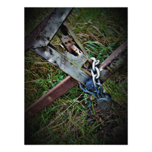 "Break Free" Photo Print