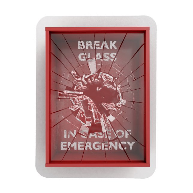 Break In Case Of Emergency Red Box Magnet (Vertical)