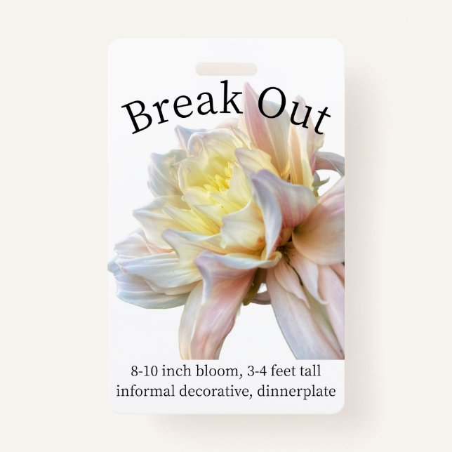 Break Out Dahlia ID Badge (Front)
