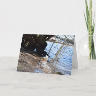 Breakers , Beachlife Card