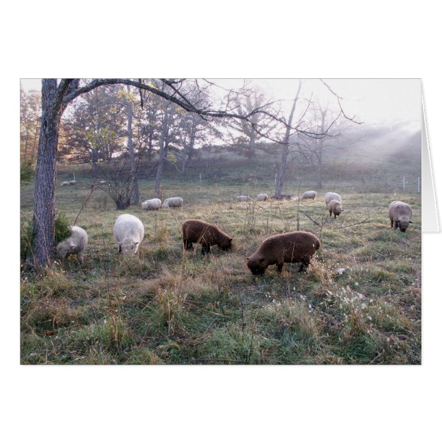 Breakfast at Dawn (Front Horizontal)