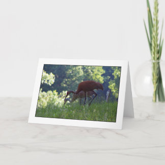 Breakfast Time Card