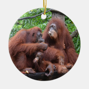 Breakfast with the Orangutans Singapore Zoo Ceramic Tree Decoration
