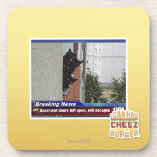 Breaking News 2 Coaster