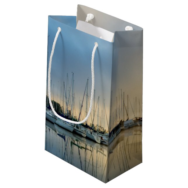 Breaking Through II Small Gift Bag (Back Angled)