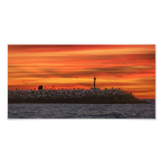 Breakwall with Pelicans - Marina Del Rey, CA Photo Print