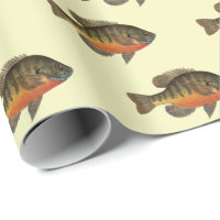 Bream, Bluegill