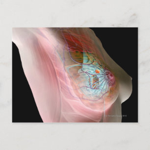 Breast Cancer Postcard