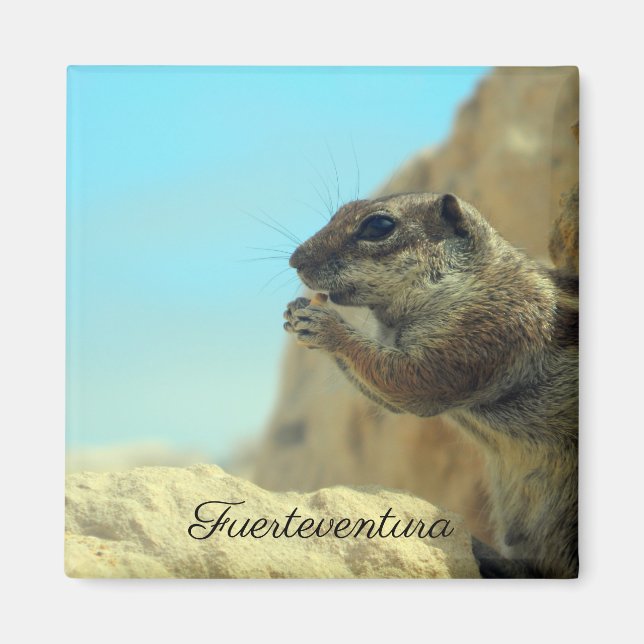 breath squirrel magnet (Front)