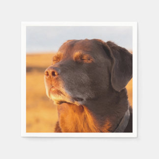 Breathe, Just Breathe Dog Napkins