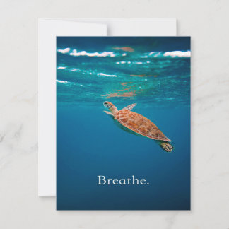 Breathe Turtle | Sea Turtle | Ocean Lover Invitation