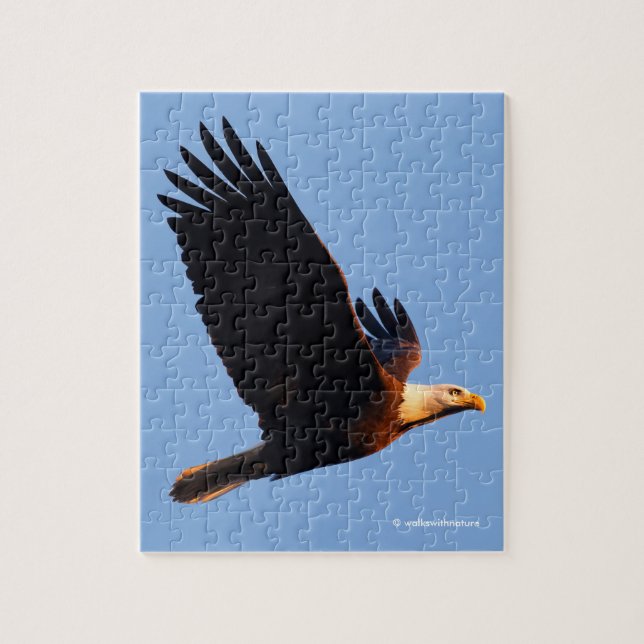 Breathtaking Bald Eagle in Winter Sunset Flight Jigsaw Puzzle (Vertical)