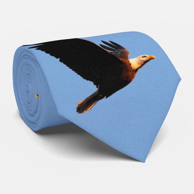 Breathtaking Bald Eagle in Winter Sunset Flight Tie (Rolled)