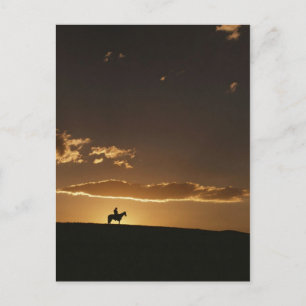 Breathtaking Cowboy Sunset Postcard