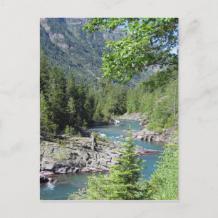 Breathtaking National Forest Postcard