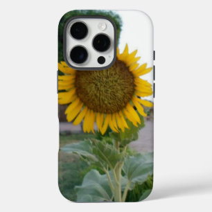 Breathtaking Natural Sunflower   Golden Radiance A iPhone 16 Pro Case