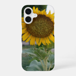 Breathtaking Natural Sunflower Golden Radiance A iPhone 16 Case