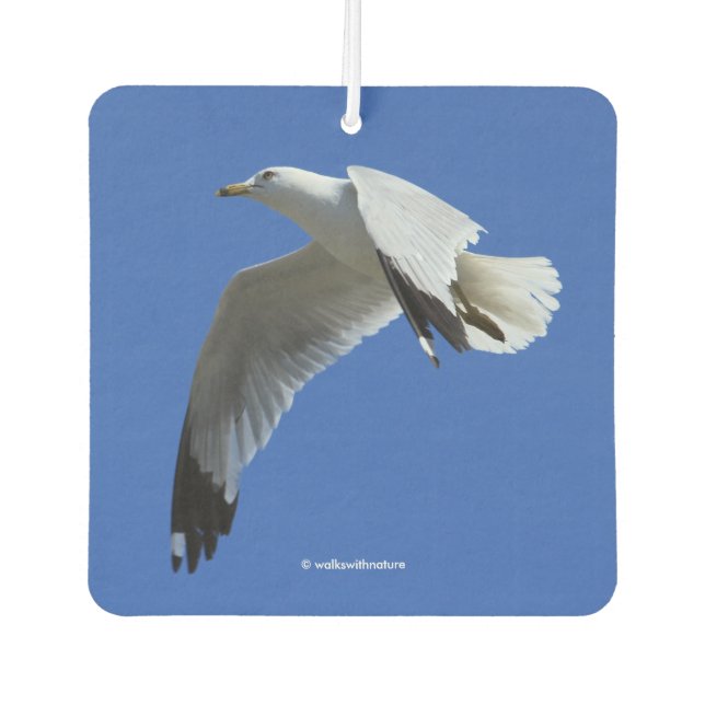 Breathtaking Ring-Billed Gull in Flight Car Air Freshener (Front)