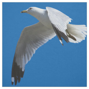 Breathtaking Ring-Billed Gull in Flight Fabric