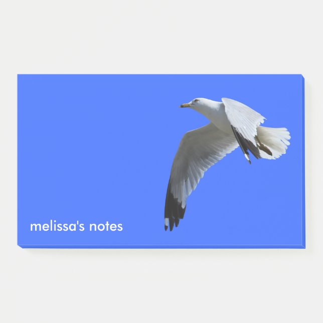 Breathtaking Ring-Billed Gull in Flight Post-it Notes (Front)