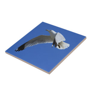 Breathtaking Ring-Billed Gull Shorebird in Flight Tile