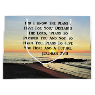 BREATHTAKING SUNRISE JEREMIAH 29:11 PHOTO LARGE GIFT BAG