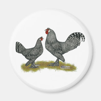 Breda Chickens Cuckoo Magnet