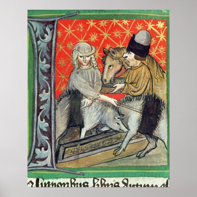 Breeding pigs and horses poster (Front)