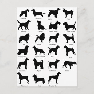 Breeds Dog Postcard