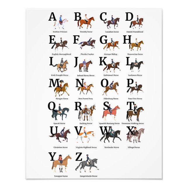 Breeds Of Horse Alphabetically Photo Print (Front)