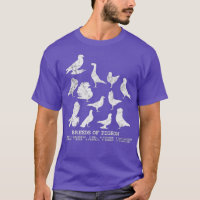 Breeds of Pigeons pigeon lover