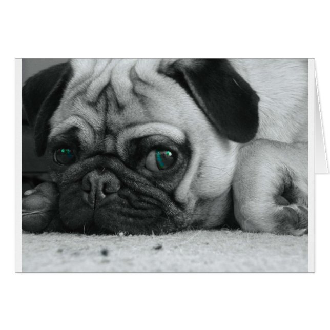 breena pic (Front Horizontal)