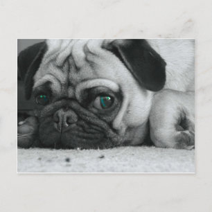 breena pic postcard