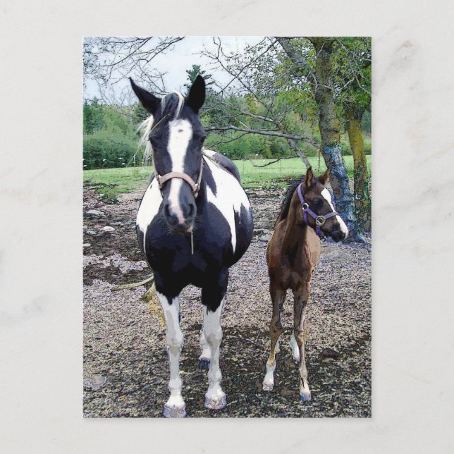 Breezie n Zura Postcard (Front)