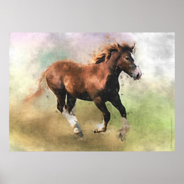 Breton draught horse foal print (Front)
