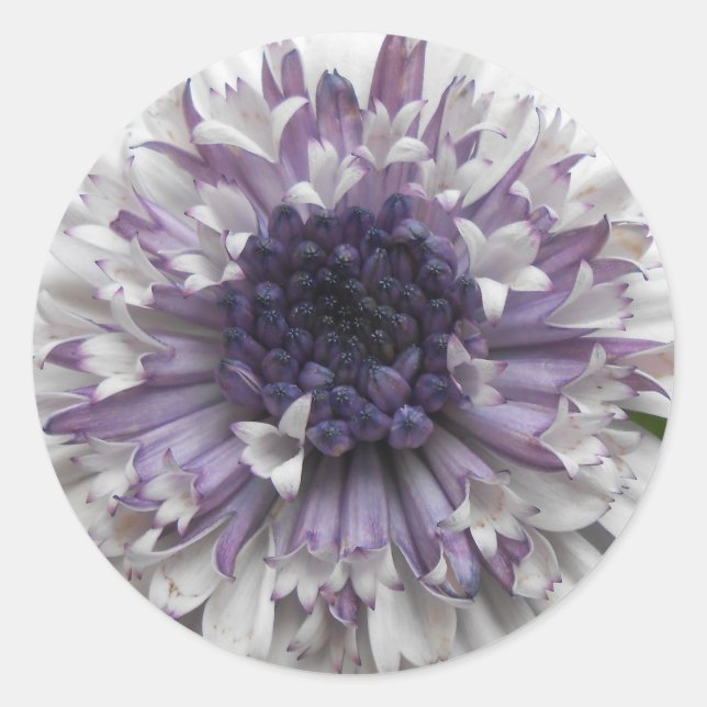 Brett Classic Round Sticker (Front)