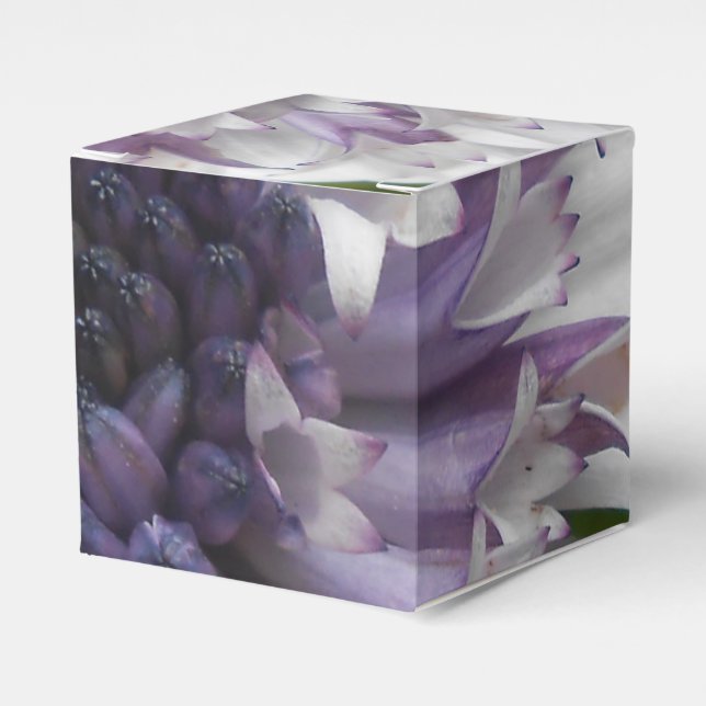 Brett Favour Box (Front Side)