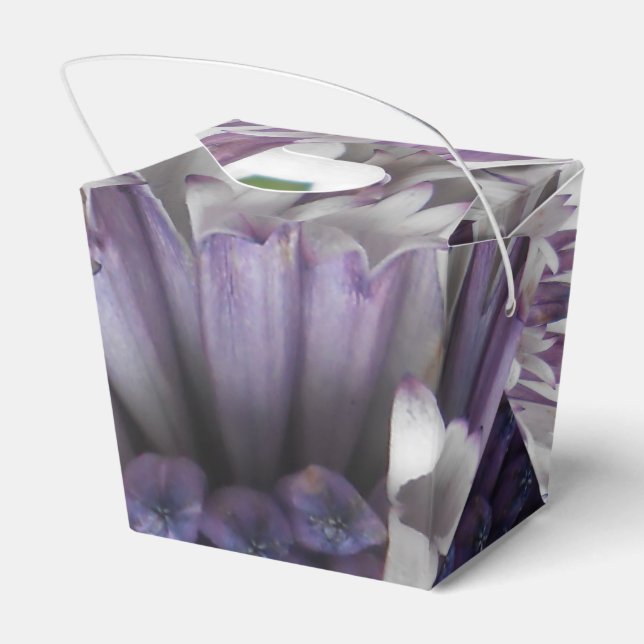 Brett Favour Box (Back Side)