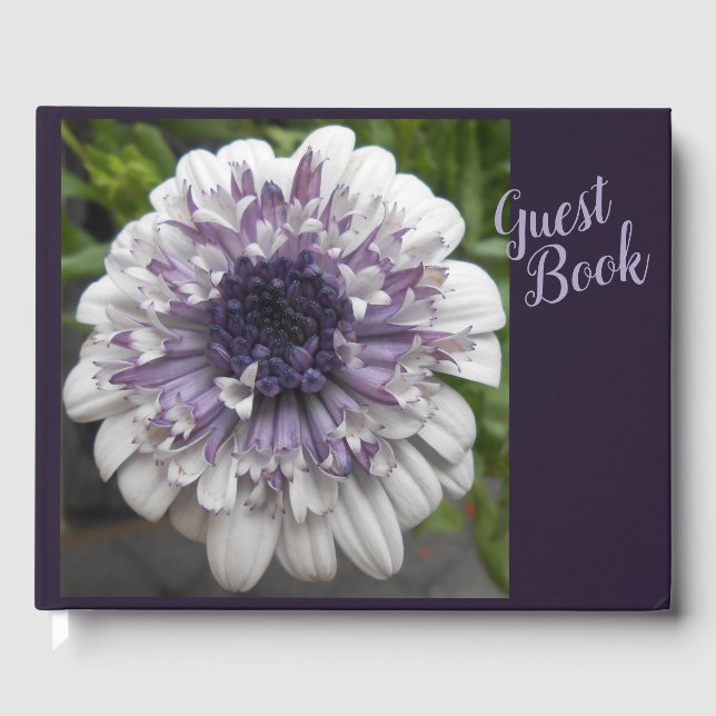 Brett Guest Book (Front)
