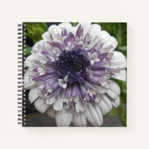 Brett Notebook