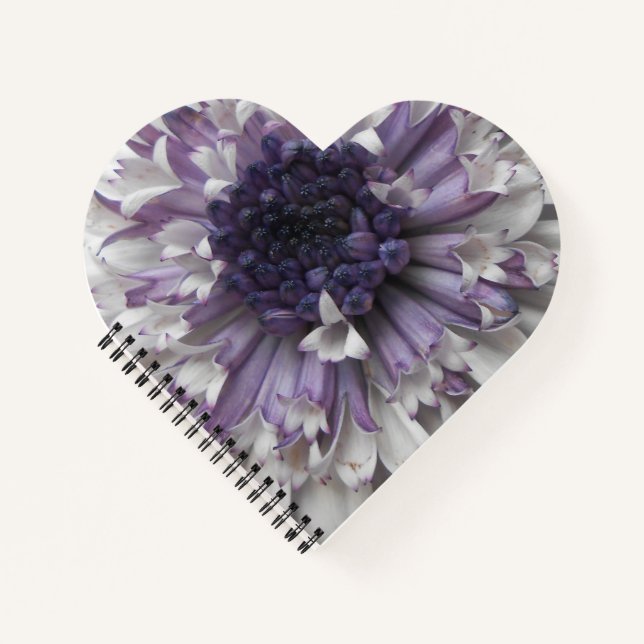 Brett Notebook (Front)