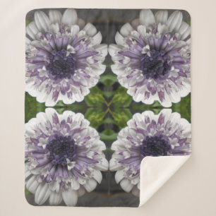 Brett Sherpa Blanket